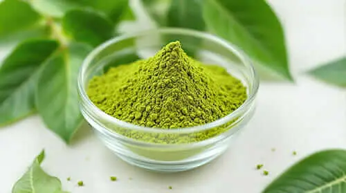 gluco6 ingredient
